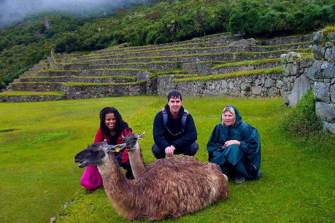 Mystical Journey: 2-Day Private Adventure to Machu Picchu - Your Return to Aguas Calientes and Back Toward Cusco