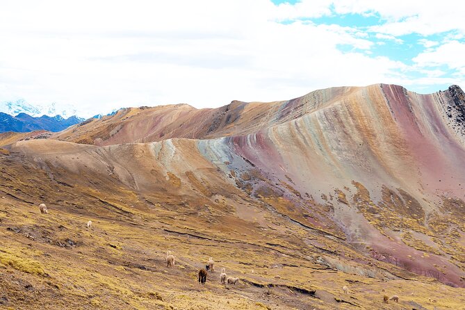 Palccoyo Rainbow Mountain Full Day Tour from Cusco - Altitude support: walking poles, oxygen tanks, and your own safety margin