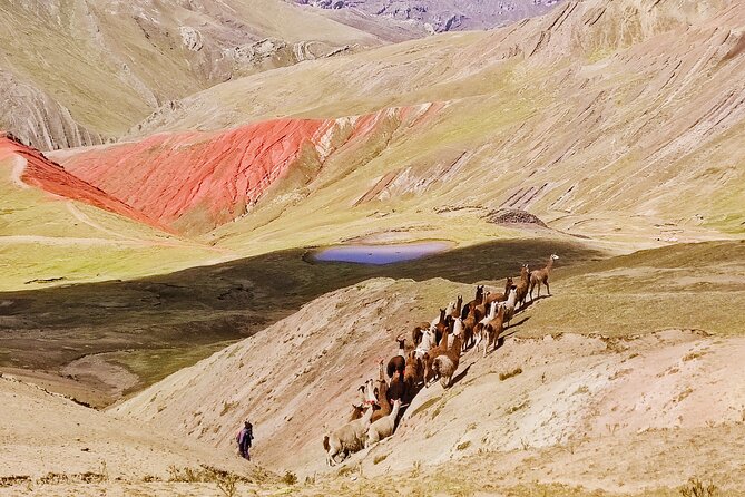 Palccoyo Rainbow Mountains Full Day Tour from Cusco - Price and Value: What You Actually Get for About $56