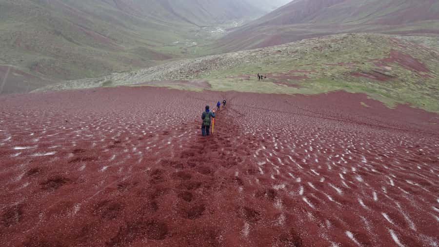 Peru: Rainbow Mountain and Red Valley View Point Tour - Pacing and guide style: what can make or break your day