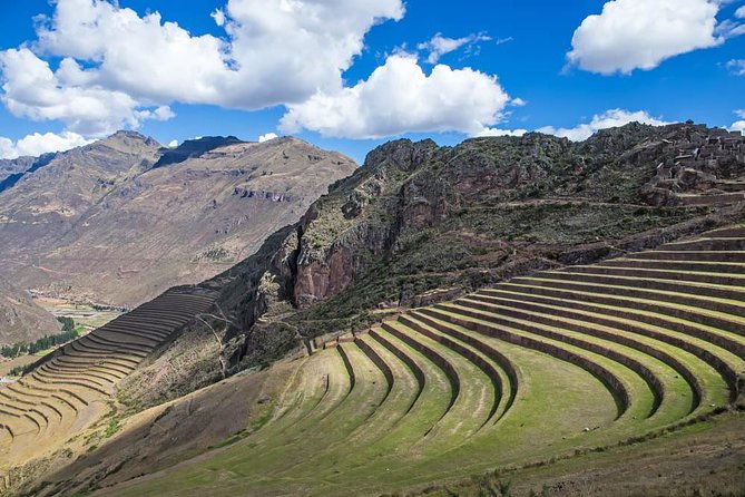 Private Ollantaytambo, Pisac Ruins Tour with Farm Visit, Gourmet Picnic Lunch - Yanahuara farm visit: cut alfalfa, see chicha, eat outdoors