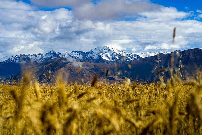 Private Tour: 2-Day Exploration of the Sacred Valley and Machu Picchu - The timing gap in Aguas Calientes: you’ll eat, wait, and then go