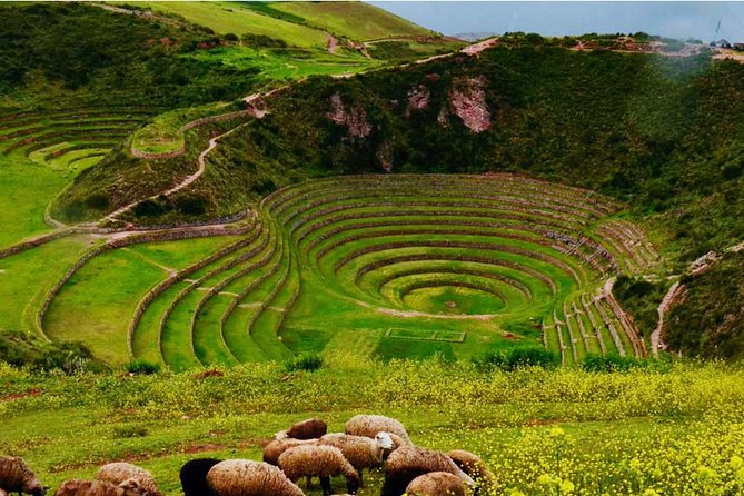 Private Tour Sacred Valley, Chinchero, Maras Moray, Ollantaytambo - Ollantaytambo: ruins plus the real-world train connection