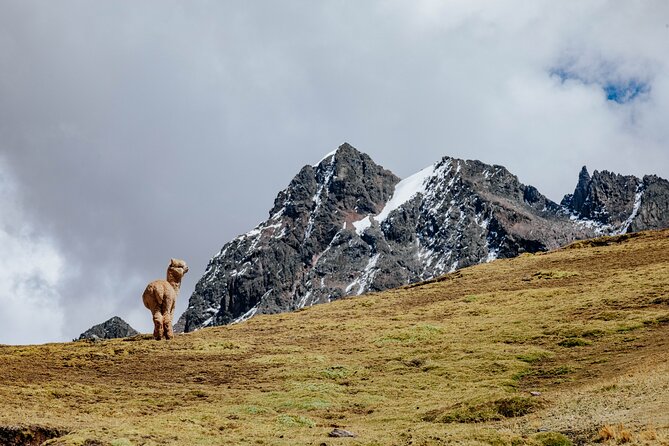 Rainbow Mountain and Red Valley Hike – 2 Days / 1 Night - Guide Support, Safety Tools, and What’s Included When Things Get Real