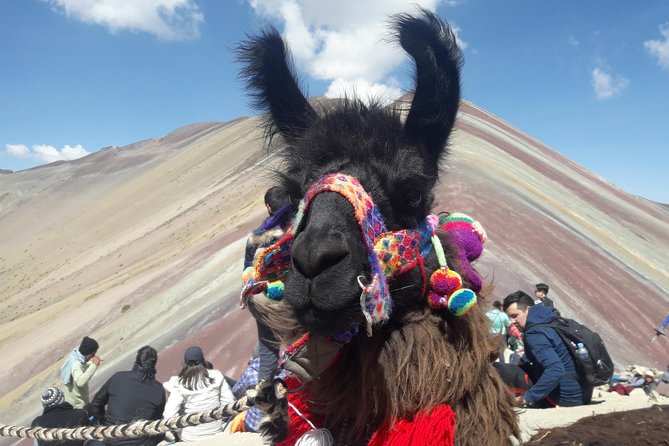 Rainbow Mountain Tour Vinicunca (Full Day) - Breaks, Benches, and the Reality of the Trail