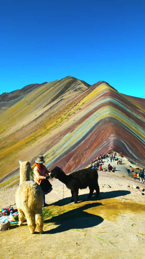 rainbown mountain Vinicunca 1 day - Rainbow Mountain in 5 key ideas before you go