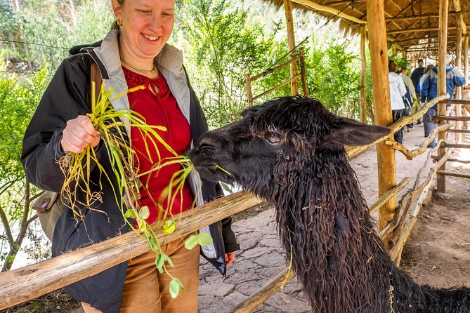 Sacred Valley and Machu Picchu Tour in 2 days with Peru Vip - Ollantaytambo: the Inca living-city feeling and the last big stop