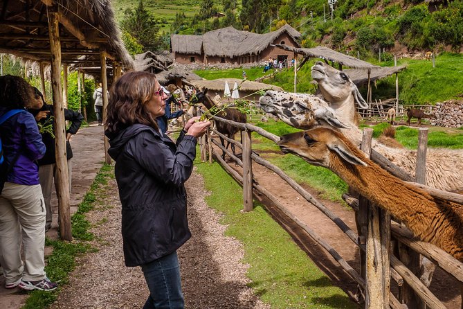 Sacred Valley and Machu Picchu Tour in 2 days with Peru Vip - The train ride to Aguas Calientes: one less thing to manage