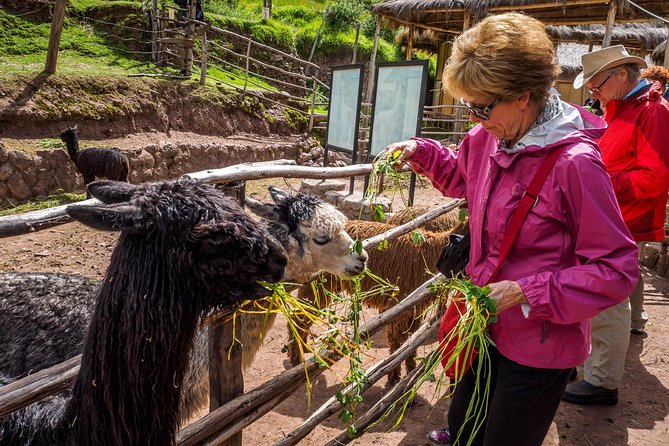 Sacred Valley and Machu Picchu Tour in 2 days with Peru Vip - Machu Picchu with a guide, then real time to wander