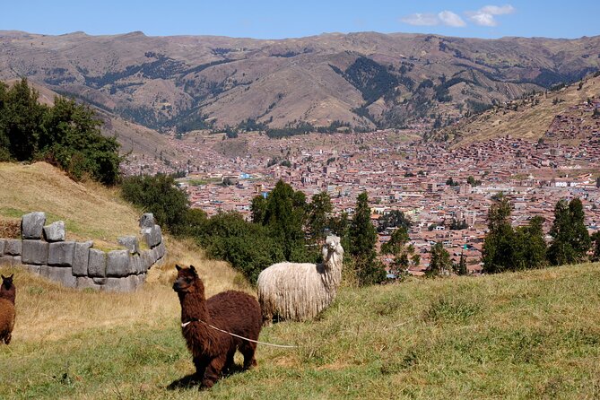 Sacsayhuaman Temple, Tambomachay and Puca Pucara Half-Day Tour - Tickets and what you’re actually paying for at $69