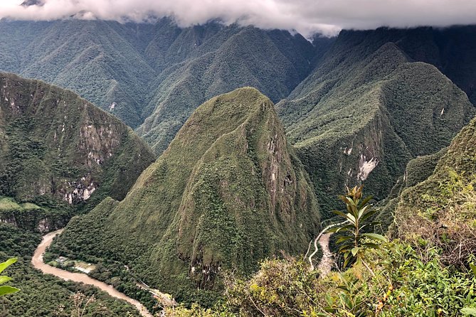 Salkantay Trek To Machu Picchu 5 Days And 4 Nights - Day 3: Rainforest Steps, a Santa Teresa River Route, and Coffee at Lucmabamba