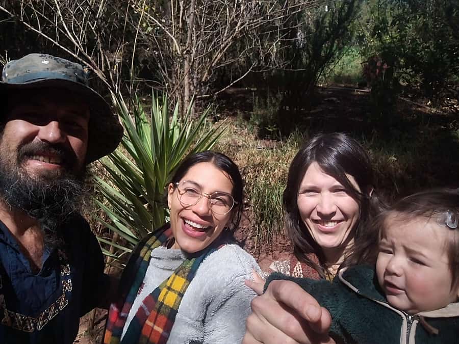 San Pedro Wachuma Ceremony in Cusco - Espiritual Tour - Price and value: is $385 worth it?