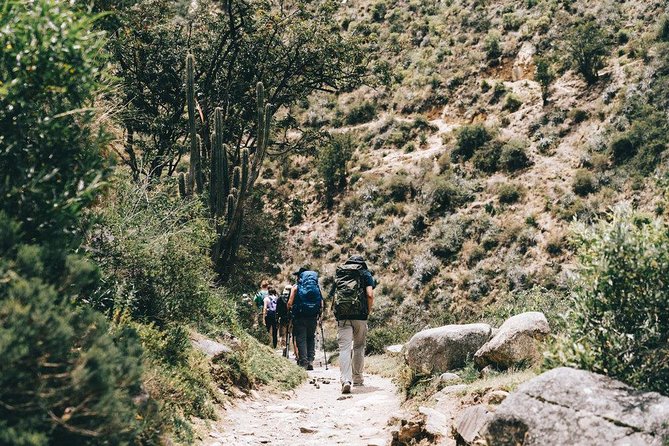 Short Inca Trail 2 Day Hike to Machu Picchu with Permits & Train - The Return Train and Bus Back to Cusco: Long, but Predictable