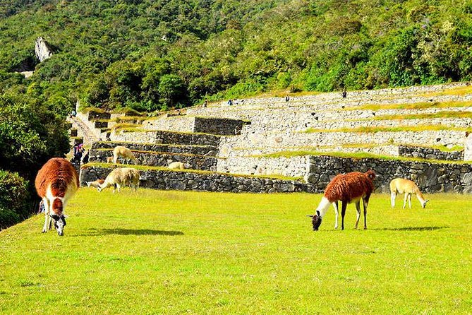 Small Group: 4-Day Inca Trail Trek to Machu Picchu - Day 4: Sun Gate First Look, Guided Machu Picchu Time, and the Ride Back
