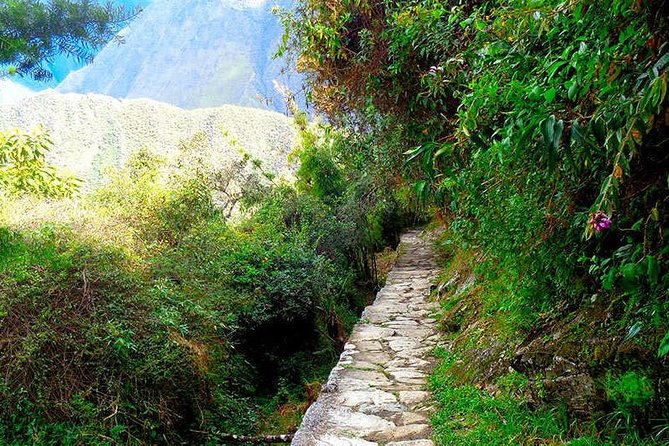 Small Group: 4-Day Inca Trail Trek to Machu Picchu - Fitness, Altitude, and Weather: How to Set Yourself Up to Enjoy It