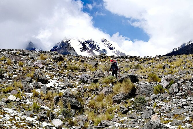 Small Group 5 Days Salkantay and Machu Picchu by Llactapata Tour - Day 3: Forest orchids, coffee/cacao plantations, then Lucmabamba lodge