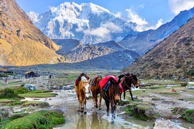 Small Group 5 Days Salkantay and Machu Picchu by Llactapata Tour - Day 5: Machu Picchu first light at 6:00 am and the guided citadel tour