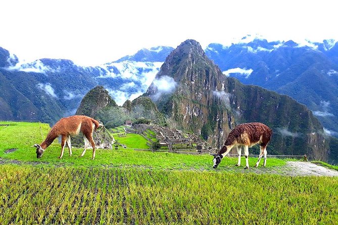 Small-Group Day Tour to Machu Picchu - Aguas Calientes and the Bus Up to Machu Picchu