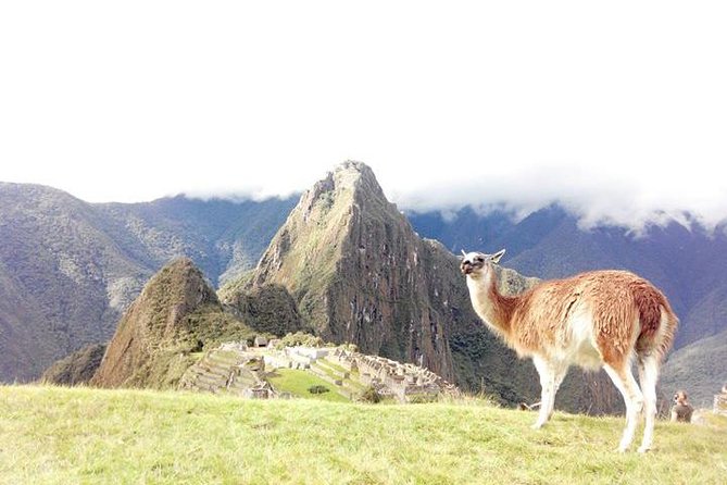 Small-Group Day Tour to Machu Picchu - Cusco to Ollantaytambo: The Urubamba River Train Ride Magic