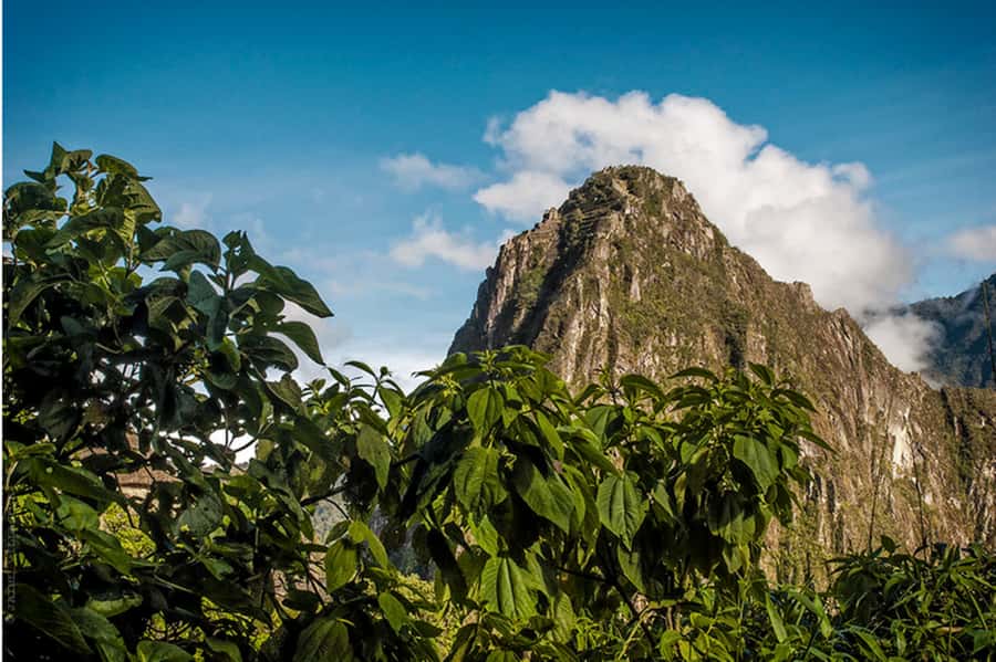 Tour Machu Picchu + Mountain of Huayna Picchu 2 days - Guide quality: what to look for and one name to remember