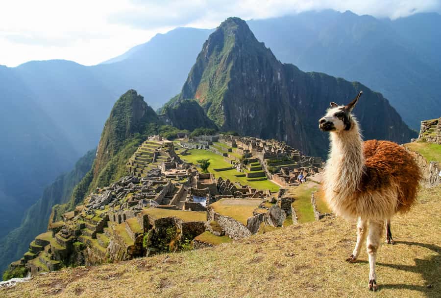 TOUR TO MACHU PICCHU FULL DAY BY TRAIN – The Best Adventure - Why a one-day Cusco-to-Machu Picchu plan works