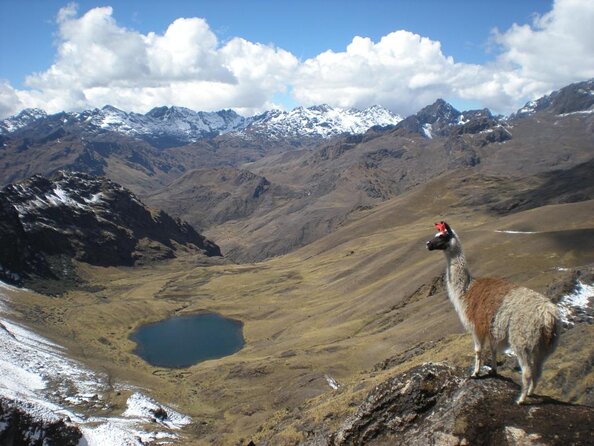 Ultimate Lares Trek & Inca Trail 5 days - Key highlights worth booking