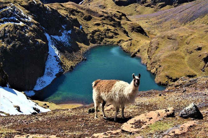 Ultimate Lares Trek & Inca Trail 5 days - Day 4: train to km 104, Chachabamba, and the Sun Gate entrance
