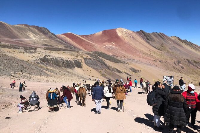 Vinicunca Rainbow Mountain Full-Day Tour from Cusco - Price and value: what $99 gets you in real terms
