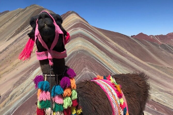Vinicunca Rainbow Mountain Full-Day Tour from Cusco - The ascent and the 4 km hike to the Vinicunca viewpoint (~5,000 m)