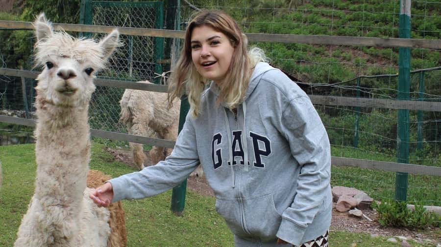 Visit to the Cochahuasi Animal Sanctuary with rescued animal - Who should book this, and who might skip it